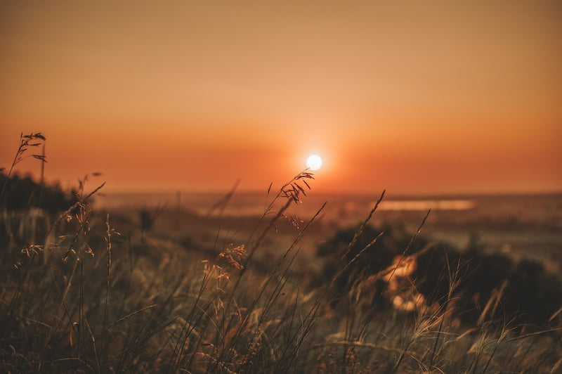 Summer Sunsets