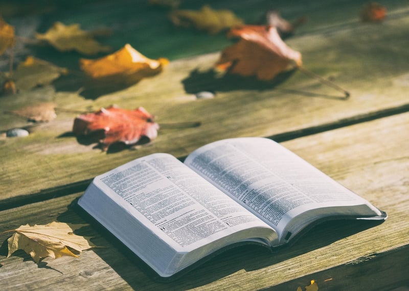 Open book with magical settings